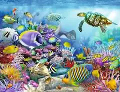 Lebendige Unterwasserwelt - Bild 2 - Klicken zum Vergößern