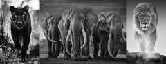 Panter, Elefanten, Löwe   1000p - Billede 2 - Klik for at zoome