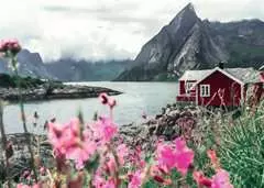 Lofoten, Norway           1000p - bilde 2 - Klikk for å zoome