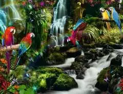 Bunte Papageien im Dschungel - Bild 2 - Klicken zum Vergößern