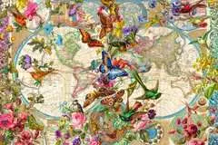Weltkarte mit Schmetterlingen - Bild 2 - Klicken zum Vergößern