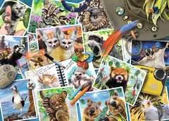 A Traveler's Animal Journal - image 2 - Click to Zoom