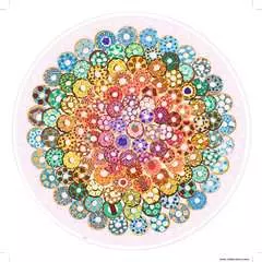 Circle of Colors: Donuts - image 2 - Click to Zoom