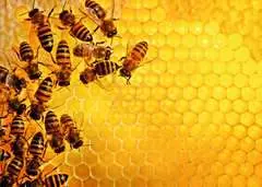 Puzzle 1000 p - La ruche aux abeilles (Challenge Puzzle) - Image 2 - Cliquer pour agrandir