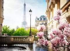 Lente in Parijs - image 2 - Click to Zoom