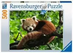 Puzzle 500 p - Adorable Panda roux - Image 1 - Cliquer pour agrandir