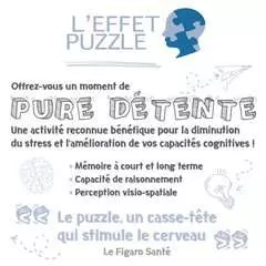 Puzzle 1000 p - Pour l'amour des fleurs - Image 3 - Cliquer pour agrandir