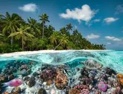 A Dive in the Maldives - bilde 2 - Klikk for å zoome