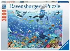 Kleurrijke onderwaterwereld - image 1 - Click to Zoom