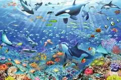 Kleurrijke onderwaterwereld - image 2 - Click to Zoom