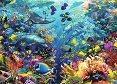 Underwater Paradise - image 3 - Click to Zoom