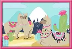 Glückliche Lamas - Bild 2 - Klicken zum Vergößern
