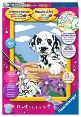 Dalmatier puppy - image 1 - Click to Zoom