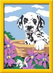 Dalmatier puppy - image 2 - Click to Zoom