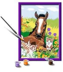 Paard en kittens - image 3 - Click to Zoom