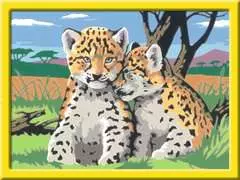 Kleine Leoparden - Bild 2 - Klicken zum Vergößern