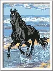 Pferd am Strand - Bild 2 - Klicken zum Vergößern