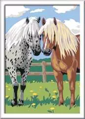 Glückliche Pferde - Bild 2 - Klicken zum Vergößern