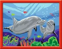 Dolfijnen - image 2 - Click to Zoom