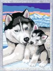 Numéro d'art - moyen - Doux bisous de Husky - Image 2 - Cliquer pour agrandir