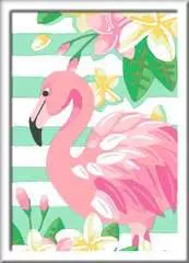 Flamant rose - image 2 - Click to Zoom