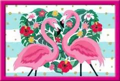 Liebenswerte Flamingos - Bild 2 - Klicken zum Vergößern
