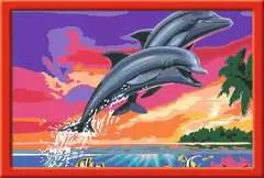 Welt der Delfine - Bild 2 - Klicken zum Vergößern