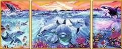 Kleurrijke onderwaterwereld / Monde sousmarin multicolore - image 3 - Click to Zoom