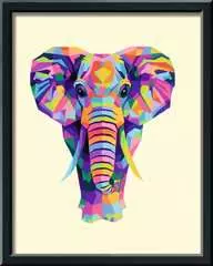 Bonte olifant - image 3 - Click to Zoom
