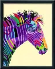 Bonte zebra - image 3 - Click to Zoom