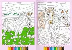 Malen nach Zahlen ab 7: Pferde - Bild 3 - Klicken zum Vergößern