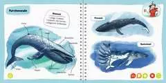 tiptoi® Wale und Delfine - Bild 6 - Klicken zum Vergößern