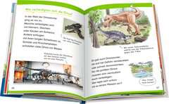Why? Why? Why? Early Readers: Dinosaurs (Volume 1) - image 7 - Click to Zoom