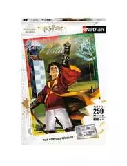 Puzzle 250 p - La passion du Quidditch / Harry Potter - Image 1 - Cliquer pour agrandir