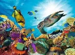 Puzzle N 500 p - Le récif corallien - Image 2 - Cliquer pour agrandir