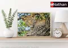 Puzzle N 500 p - Les yeux du léopard - Image 5 - Cliquer pour agrandir