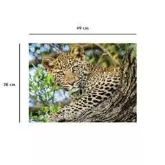 Puzzle N 500 p - Les yeux du léopard - Image 6 - Cliquer pour agrandir