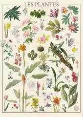 Nathan puzzle 1500 p - Les plantes / Muséum national d'Histoire naturelle - Image 2 - Cliquer pour agrandir