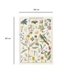 Nathan puzzle 1500 p - Les plantes / Muséum national d'Histoire naturelle - Image 3 - Cliquer pour agrandir