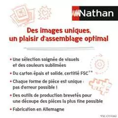 Puzzle N 1000 p - Mon jardin le soir / Alain Thomas - Image 3 - Cliquer pour agrandir
