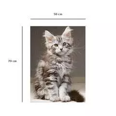 Puzzle N 1000 p - Le chaton Maine Coon - Image 5 - Cliquer pour agrandir