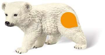 Ravensburger Tiptoi Spielfigur Eisbärjunges Eisbär Polar Bear Arktis Bär NEU 