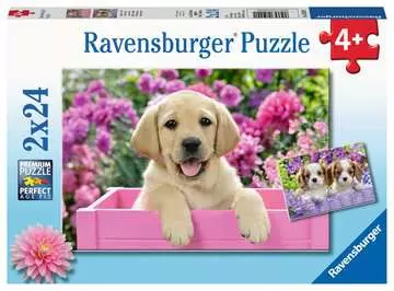 Kouzelná štěňata 2x24 dílků 2D Puzzle;Dětské puzzle - obrázek 1 - Ravensburger