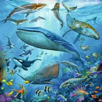 05149 Kinderpuzzle Tierwelt des Ozeans von Ravensburger 2
