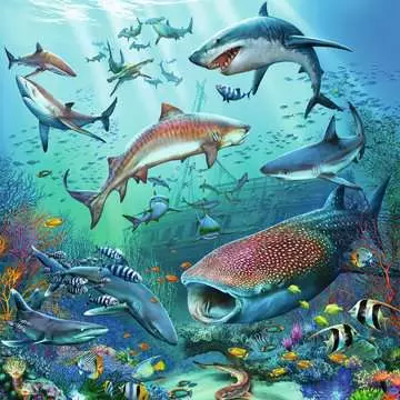 05149 Kinderpuzzle Tierwelt des Ozeans von Ravensburger 3