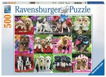 Štěňata 500 dílků 2D Puzzle;Puzzle pro dospělé - obrázek 1 - Ravensburger