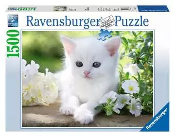 Gattino Bianco, Puzzle 1500 Pezzi, Puzzle per Adulti Puzzle;Puzzle da Adulti - immagine 1 - Ravensburger
