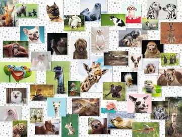 Funny Animals Collage     1500p Puslespill;Voksenpuslespill - bilde 2 - Ravensburger