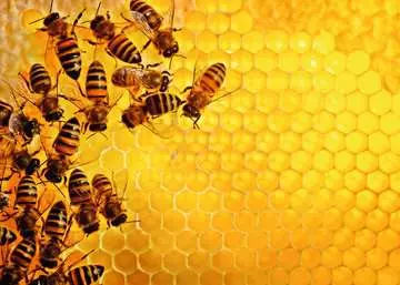 Puzzle 1000 p - La ruche aux abeilles (Challenge Puzzle) Puzzle;Puzzle adulte - Image 2 - Ravensburger