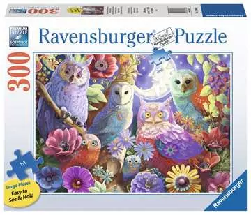 Night Owl Hoot Puzzels;Puzzels voor volwassenen - image 1 - Ravensburger